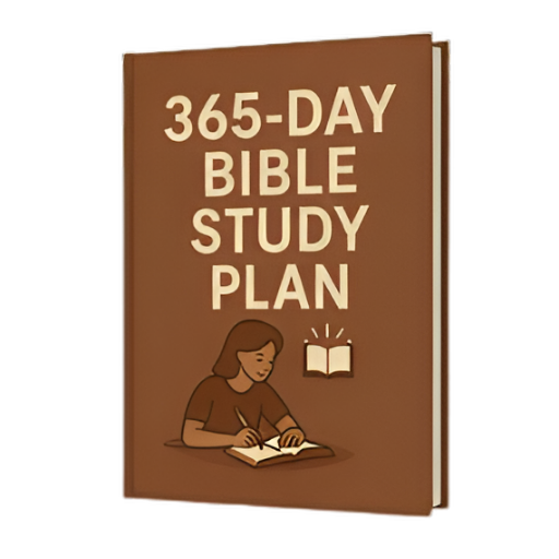 365 Day Study Plan